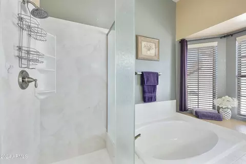 Bath - 2226 Egret Ct, Gilbert, AZ 85234 photo 4 of 7