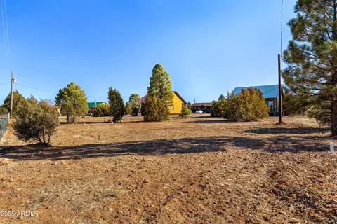 2228 Meadow Ln #320, Overgaard, AZ 85933 photo 41