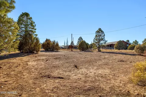 2228 Meadow Ln #320, Overgaard, AZ 85933 photo 42