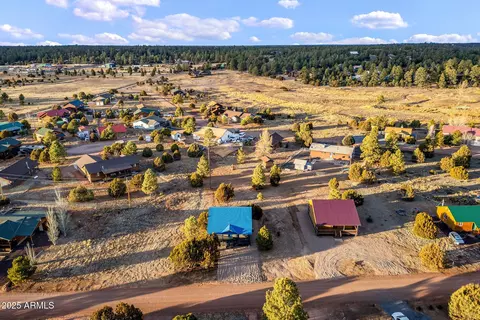 2228 Meadow Ln #320, Overgaard, AZ 85933 photo 44