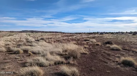 14 Acres County Road 6014 -- #234, Saint Johns, AZ 85936