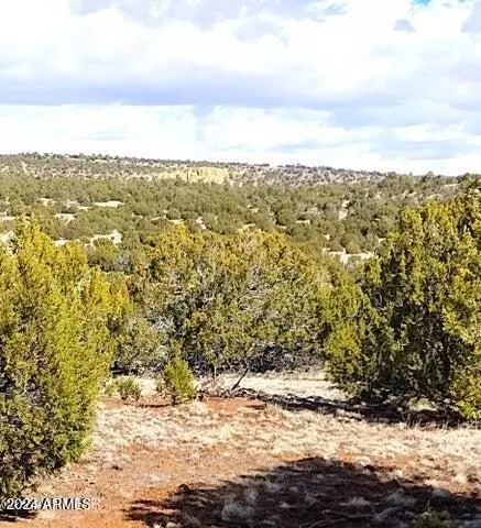 5 Lots In Show Low Pines -- Apt 7582239334 464 #75,82,239,334 & 464, Concho, AZ 85924