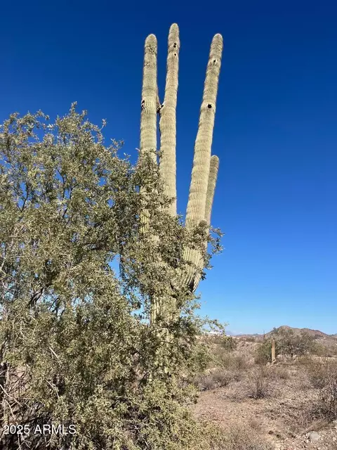 26113 N 113th Ave #-, Peoria, AZ 85383