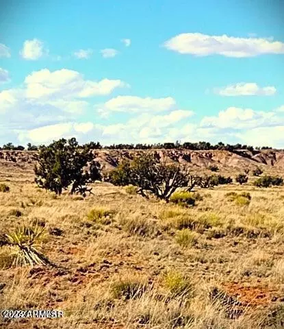 lot11 Carrizo Rnch #011, Saint Johns, AZ 85936