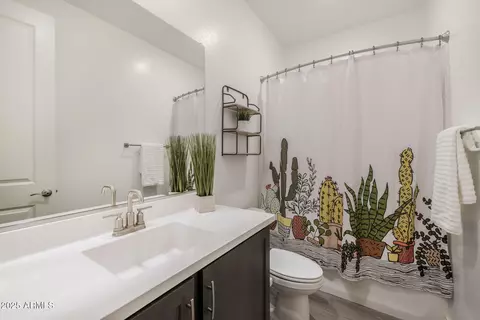 Bath - 9702 E Ripple Dr, Mesa, AZ 85212 photo 3 of 4