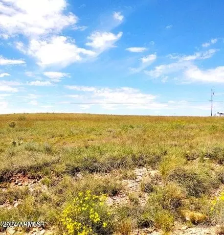 4 Lots In San Juan Meadows -- Apt 36636550 49 #366,365,50 & 49, Saint Johns, AZ 85936