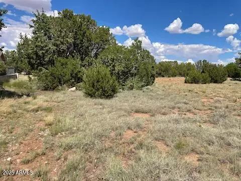 10 Fairway Cir #1, Concho, AZ 85924