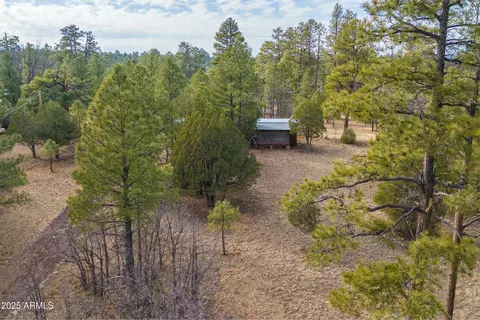 2412 Velvet Antler Trl, Happy Jack, AZ 86024
