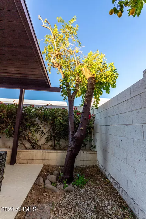 1014 E Michigan Ave, Phoenix, AZ 85022 photo 30