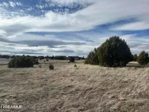 1061 S Lorenzo Sitgreaves Dr #79, Show Low, AZ 85901