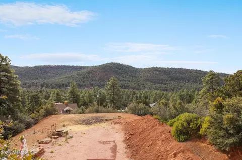 9190 W Tomahawk Trl, Pine, AZ 85544 photo 39