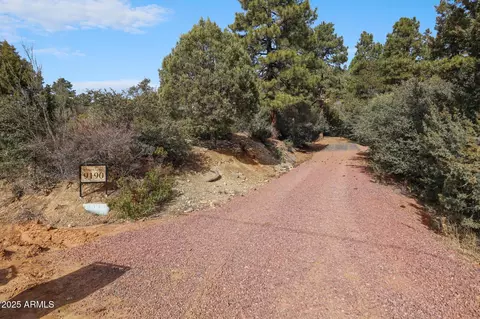 9190 W Tomahawk Trl, Pine, AZ 85544 photo 42