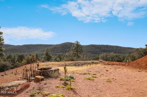 9190 W Tomahawk Trl, Pine, AZ 85544 photo 38