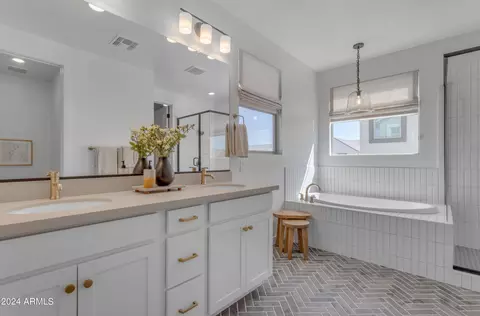 Bath - 10050 E Tiburon Ave, Mesa, AZ 85212 photo 3 of 7