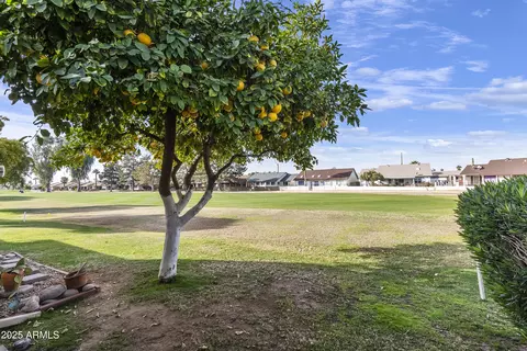 454 S 77th St, Mesa, AZ 85208 photo 19