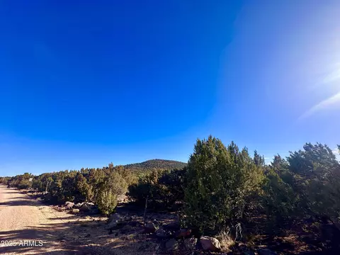tbd County Rd 3323 -- #-, Vernon, AZ 85940