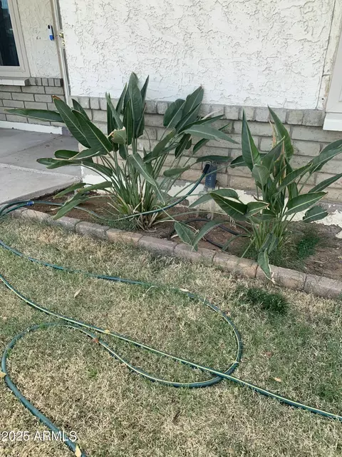 Exterior - 2745 W Michelle Dr, Phoenix, AZ 85053 photo 7 of 7
