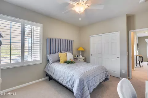 Bedroom - 3773 E Donald Dr, Phoenix, AZ 85050 photo 2 of 13