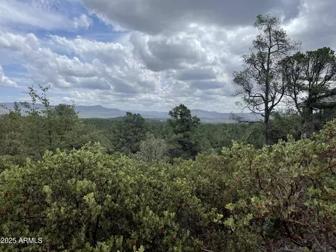 606 N Grapevine Dr #423, Payson, AZ 85541