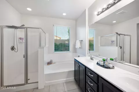 Bath - 10031 E Gamma Ave, Mesa, AZ 85212 photo 1 of 4