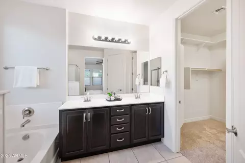Bath - 10031 E Gamma Ave, Mesa, AZ 85212 photo 2 of 4