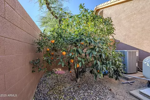 4056 E Rosemonte Dr, Phoenix, AZ 85050 photo 51