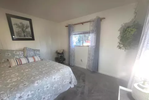 319 E Pinnacle Cir, Payson, AZ 85541 photo 19