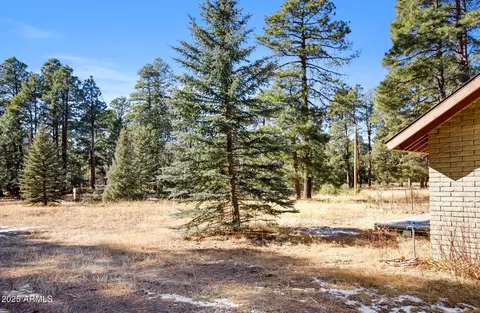 Exterior - 3199 Larson Loop, Forest Lakes, AZ 85931 photo 8 of 8