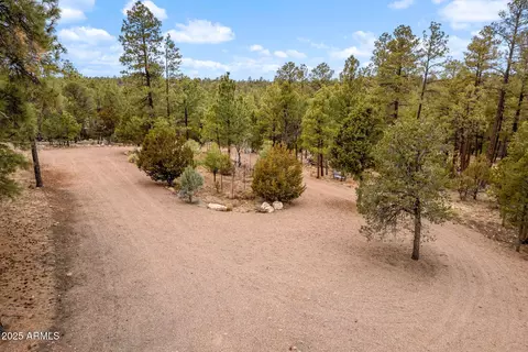 2854 Thunderbird Way #-, Overgaard, AZ 85933 photo 7
