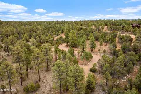 2854 Thunderbird Way #-, Overgaard, AZ 85933 photo 16