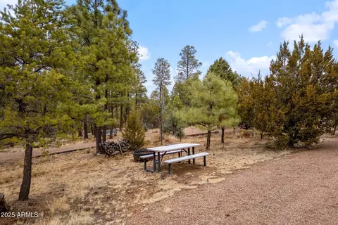 2854 Thunderbird Way #-, Overgaard, AZ 85933 photo 9