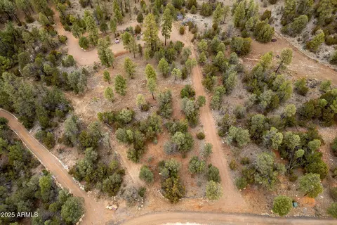 2854 Thunderbird Way #-, Overgaard, AZ 85933 photo 2