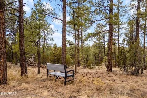 2854 Thunderbird Way #-, Overgaard, AZ 85933 photo 10