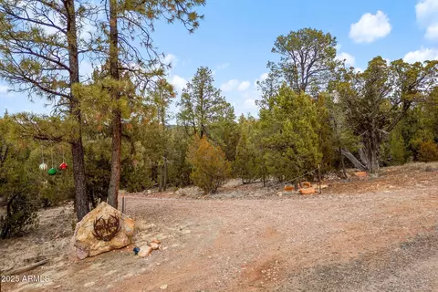 2854 Thunderbird Way #-, Overgaard, AZ 85933 photo 5