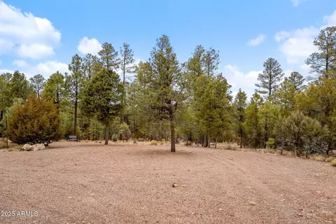 2854 Thunderbird Way #-, Overgaard, AZ 85933 photo 8