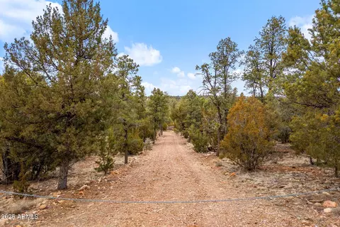 2854 Thunderbird Way #-, Overgaard, AZ 85933 photo 6