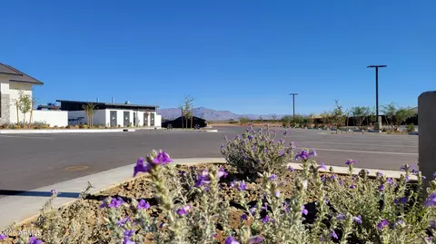3224 W Stradling Ave, Apache Junction, AZ 85120 photo 42