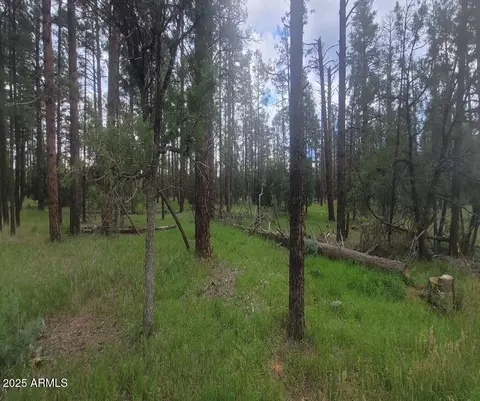 5363 Stilletto Dr #4, Lakeside, AZ 85929