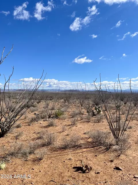 tbd W 39918 Ac Lot 23 -- W #23, Douglas, AZ 85607