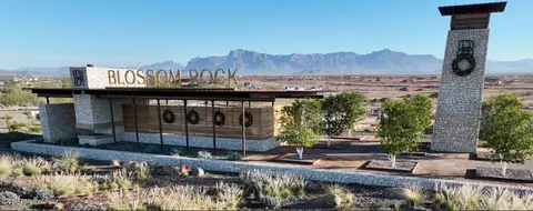 View/Area - 1304 W Golden Ore Pass, Apache Junction, AZ 85120 photo 27 of 27