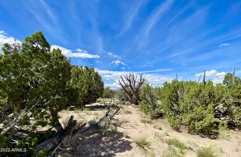 tbd N6112 -- #-, Saint Johns, AZ 85936