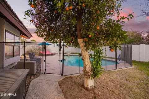 Other - 3457 Ellis St, Mesa, AZ 85213 photo 26 of 32