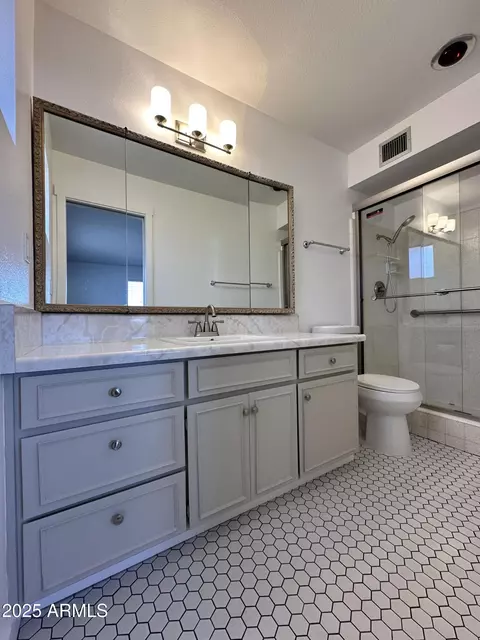 Bath - 6449 E Dodge St, Mesa, AZ 85205 photo 4 of 5