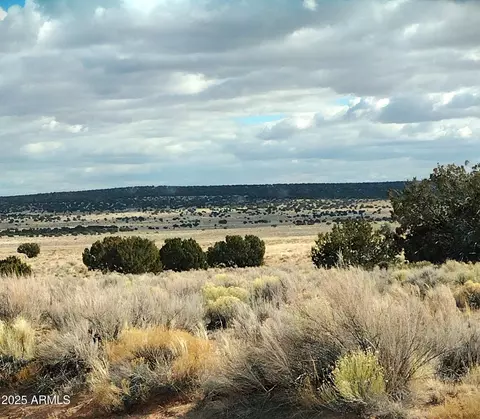 lot271 Red Sky Rnch #271, Saint Johns, AZ 85936