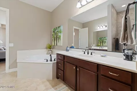 Bath - 10315 E Palladium Dr, Mesa, AZ 85212 photo 1 of 3