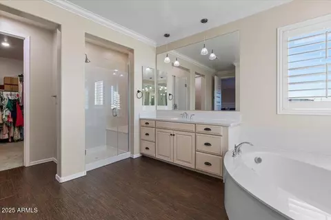 Bath - 904 E Hampton Ln, Gilbert, AZ 85295 photo 3 of 6