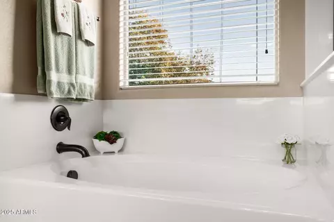 Bath - 11249 E Stradling Ave, Mesa, AZ 85212 photo 3 of 7