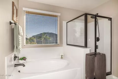Bath - 11249 E Stradling Ave, Mesa, AZ 85212 photo 2 of 7