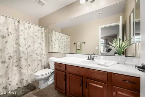 Bath - 11249 E Stradling Ave, Mesa, AZ 85212 photo 5 of 7