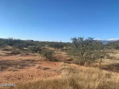 tbd E Madera Dr #-, Hereford, AZ 85615